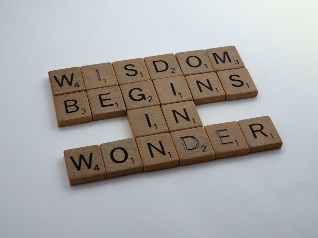 Wisdom begins in wonder.